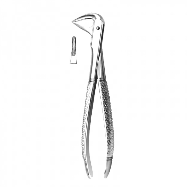 Anterior Forceps 