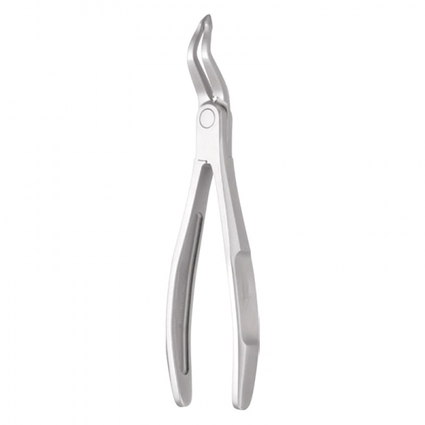 Root Forceps