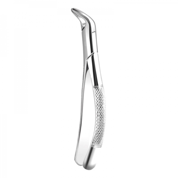 Apical Retention Forceps 