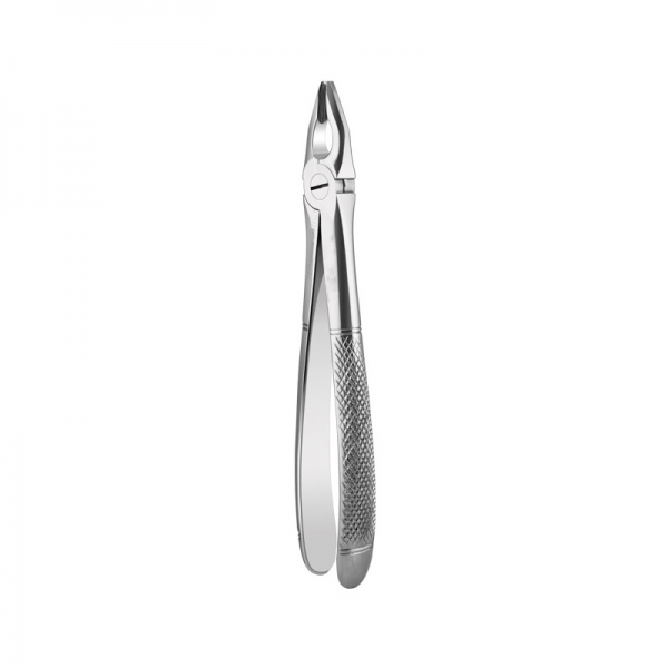 Apical Retention Forceps 