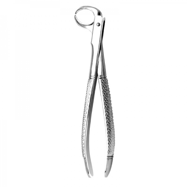 English Pattern Forceps