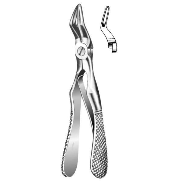 Root Forceps