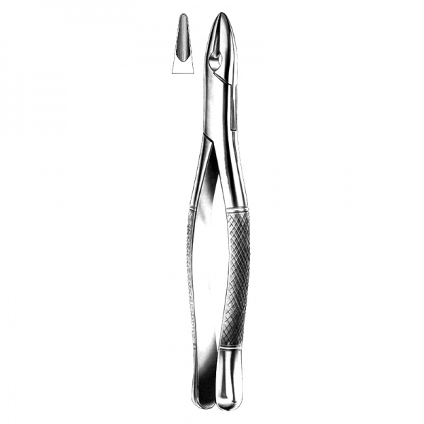 Anterior Forceps 