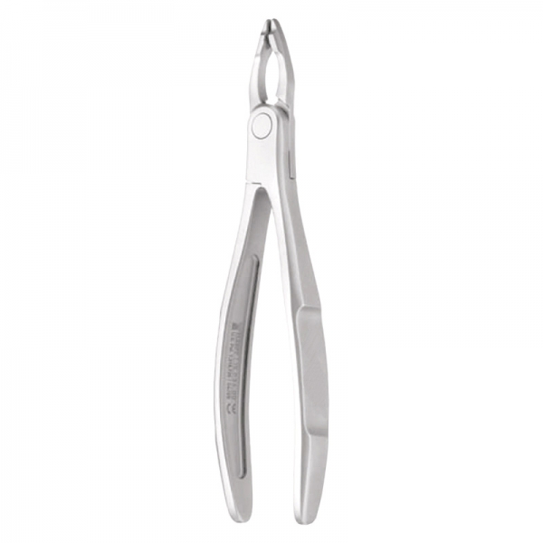 Anterior Forceps