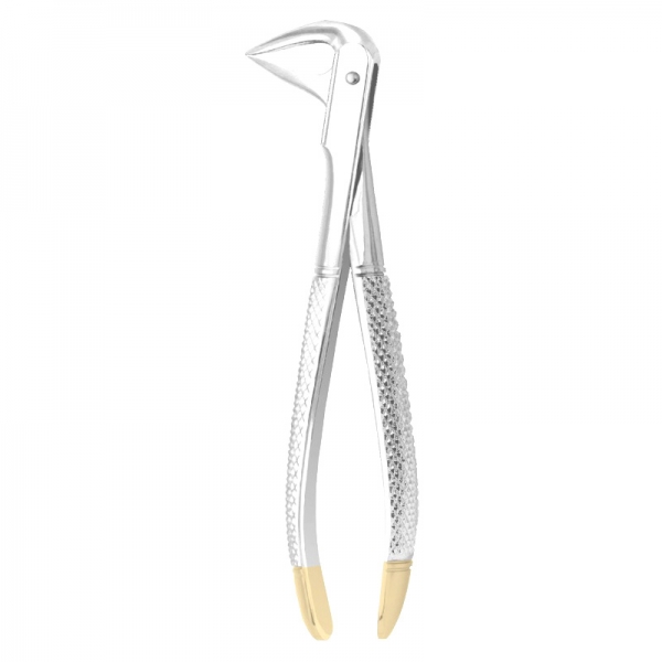 Anterior Forceps 