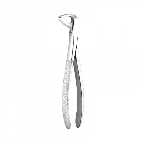 Apical Retention Forceps 