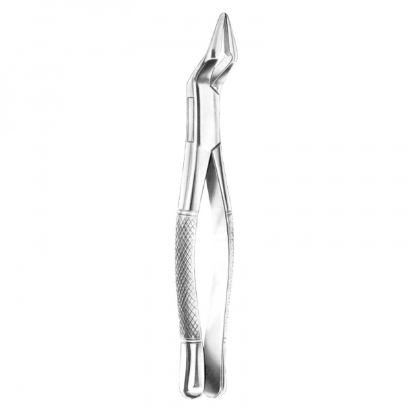 Root Forceps