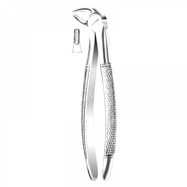 English Pattern Forceps